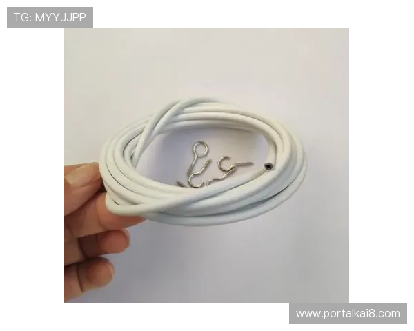 亚游国际ag游戏平台最新优惠活动不断开启邀请您一同享受精彩纷呈的线上娱乐盛宴